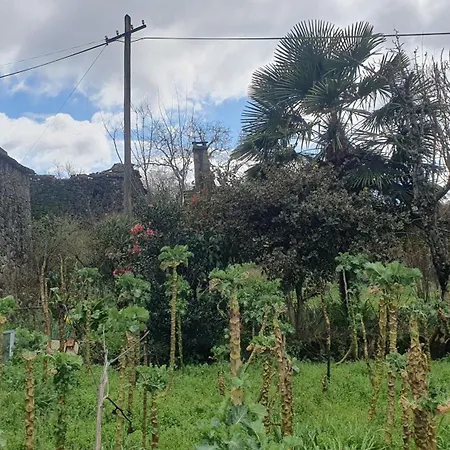 アパート Retiro Da Perreira ヴィーラ・ノーヴァ・デ・パイヴァ
