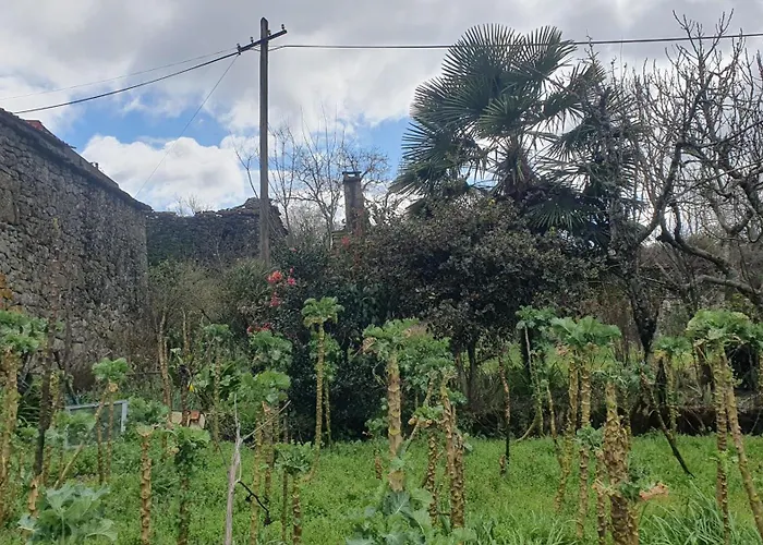 شقة Retiro Da Perreira Com Churrasqueira فيلا نوفا دي بايفا